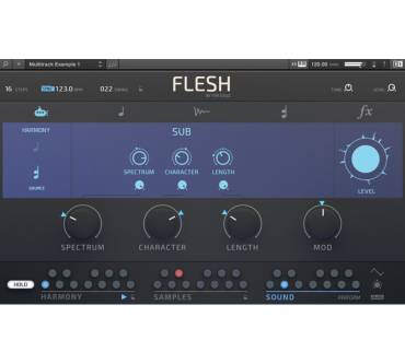 Produktbild Native Instruments Flesh