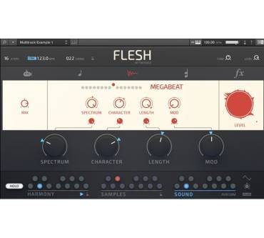 Produktbild Native Instruments Flesh