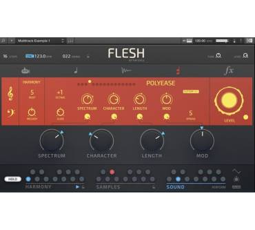 Produktbild Native Instruments Flesh