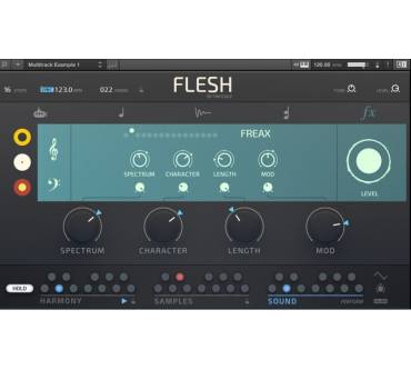 Produktbild Native Instruments Flesh