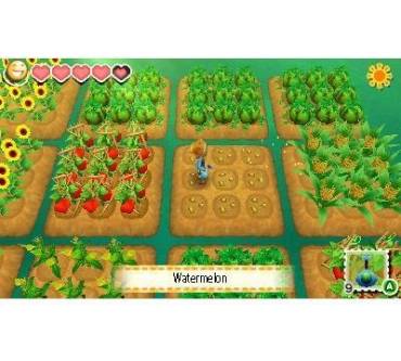 Produktbild Story of Seasons (für 3DS)