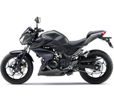 Produktbild Kawasaki Z300