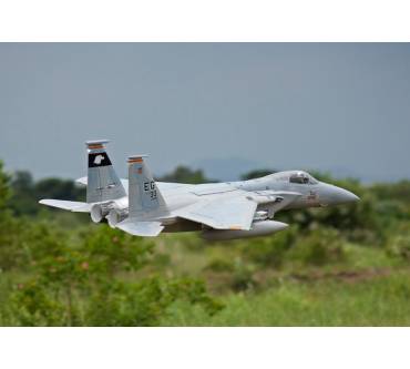 Produktbild ready2fly Freewing F-15 Eagle