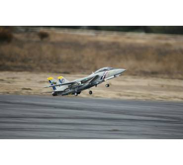 Produktbild ready2fly Freewing F-14 Tomcat