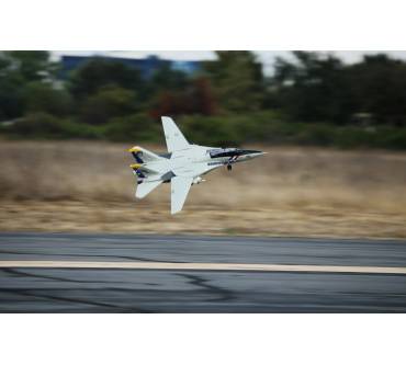 Produktbild ready2fly Freewing F-14 Tomcat