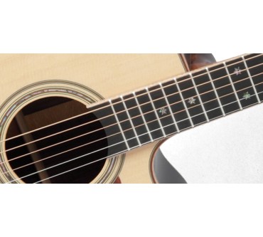 Produktbild Takamine P7DC