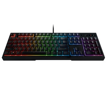 Produktbild Razer Ornata Chroma