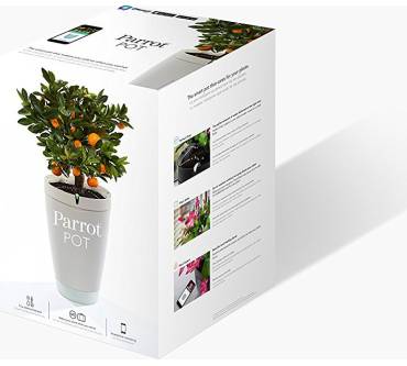 Produktbild Parrot Pot