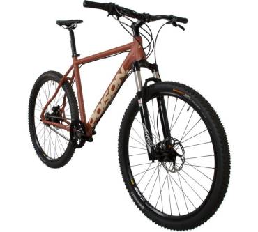 Produktbild Poison Zyankali 29 IGH Rohloff