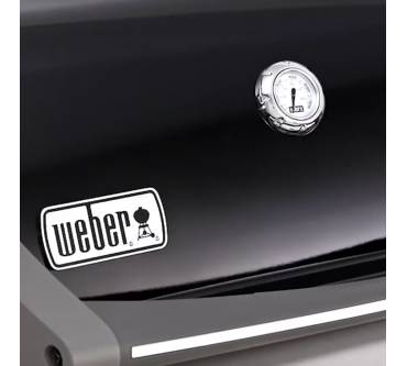 Produktbild Weber Spirit EO-210