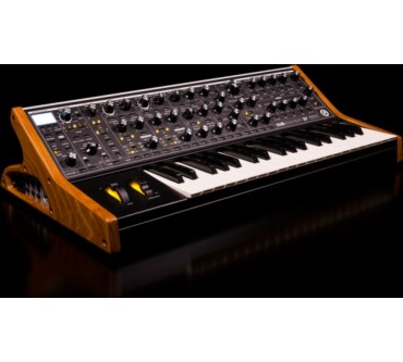 Produktbild Moog Music Subsequent37