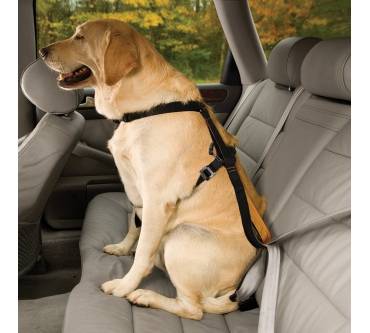 Produktbild Kurgo Enhanced Strength Tru-Fit Dog Car Harness