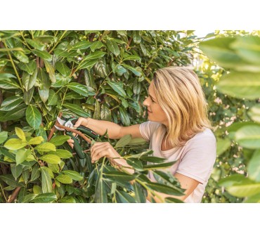 Produktbild Bosch Easy Prune