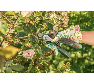 Produktbild Bosch Easy Prune