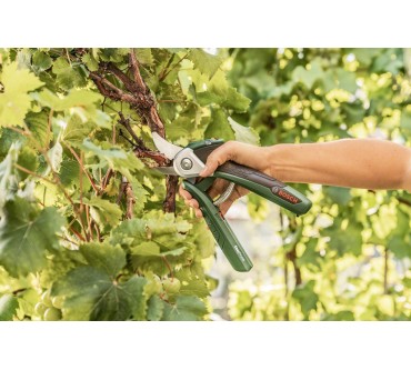 Produktbild Bosch Easy Prune