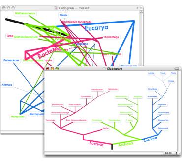 Produktbild Omni Group OmniGraffle Pro 5