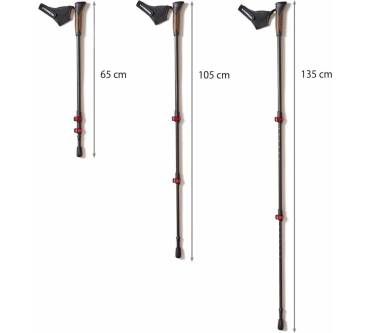 Produktbild Steinwood Nordic Walking Stöcke 100% Carbon