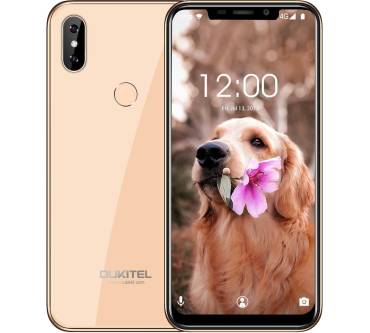 Produktbild Oukitel C13 Pro