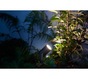 Produktbild Philips Hue White and Color Ambiance Lily Gartenspot (Basis-Set)