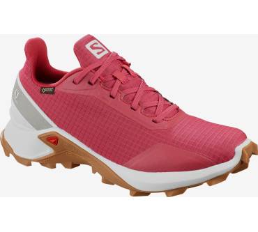 Produktbild Salomon Alphacross GTX