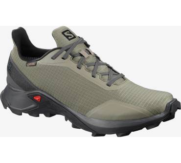 Produktbild Salomon Alphacross GTX