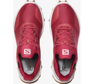 Produktbild Salomon Alphacross GTX