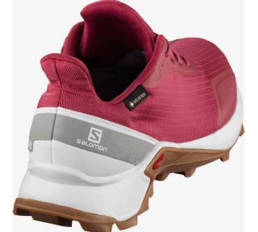 Produktbild Salomon Alphacross GTX