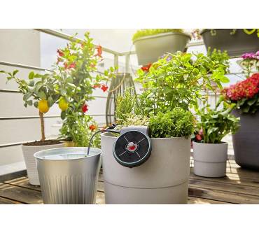 Produktbild Gardena Solar-Bewässerung AquaBloom Set