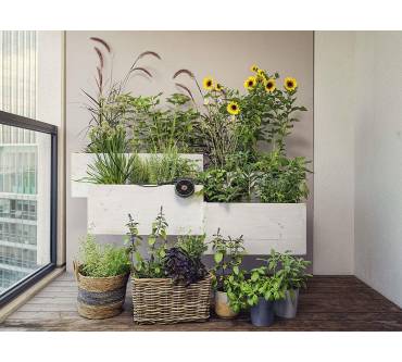 Produktbild Gardena Solar-Bewässerung AquaBloom Set