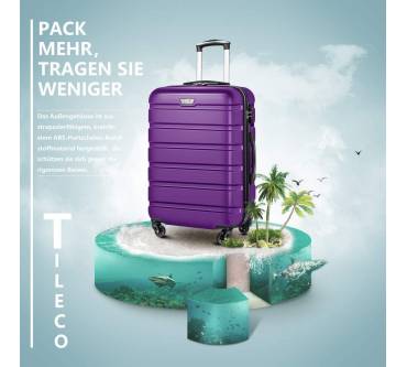 Produktbild Coolife TILECO Mittelgroß (60 L)