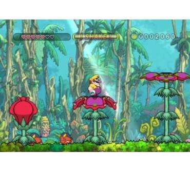 Produktbild Wario Land: The Shake Dimension (für Wii)