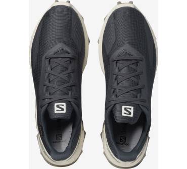 Produktbild Salomon Alphacross Blast GTX