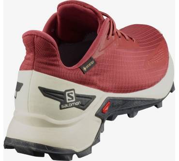 Produktbild Salomon Alphacross Blast GTX