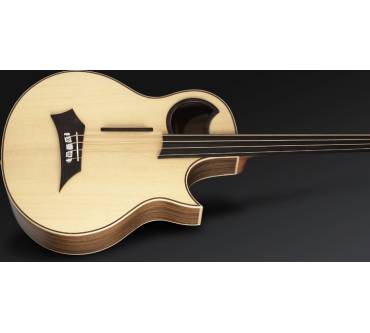 Produktbild Warwick The Alien Acoustic (Fretless Version)