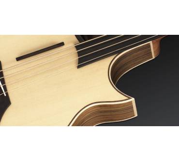 Produktbild Warwick The Alien Acoustic (Fretless Version)