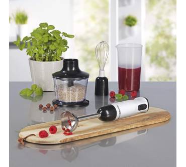 Produktbild Gourmetmaxx Multi-Stabmixer 06885