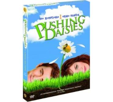 Produktbild DVD Pushing Daisies - Die komplette erste Staffel