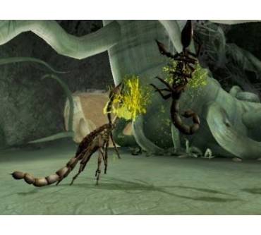 Produktbild Deadly Creatures (für Wii)