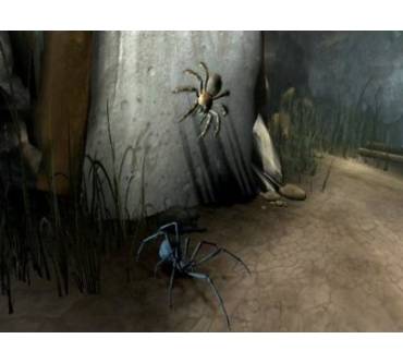 Produktbild Deadly Creatures (für Wii)