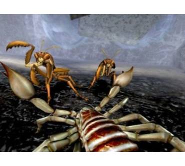 Produktbild Deadly Creatures (für Wii)