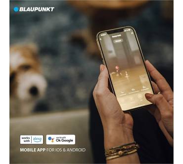 Produktbild Blaupunkt Bluebot XVAC