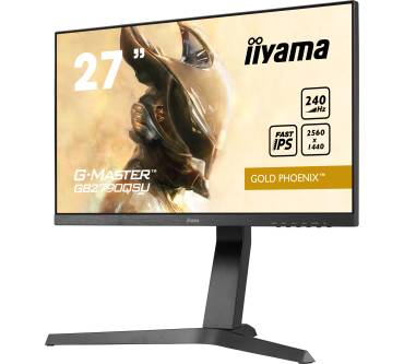 Produktbild Iiyama G-Master GB2790QSU-B1 Gold Phoenix