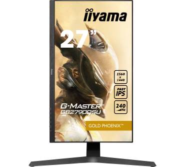 Produktbild Iiyama G-Master GB2790QSU-B1 Gold Phoenix