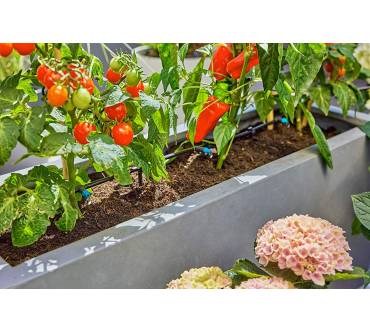 Produktbild Gardena Tropfbewässerung Set Terrasse (30 Pflanzen)