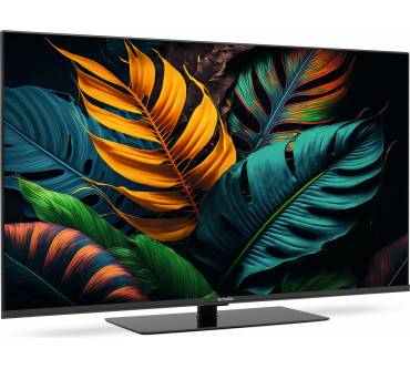 Produktbild TechniSat TechniVision UHD55A