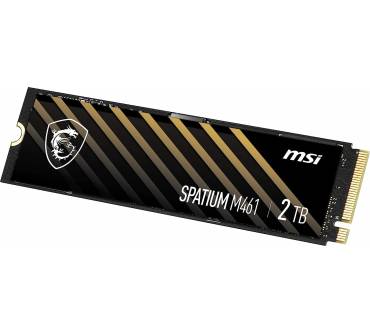 Produktbild MSI Spatium M461