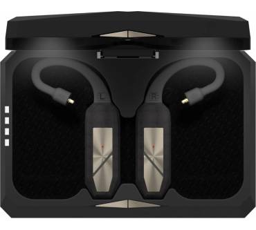 Produktbild iFi audio Go pod