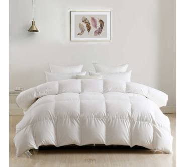 Produktbild DWR Bedding Daunendecke