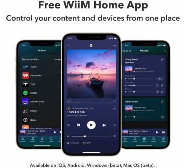 Produktbild WiiM Mini