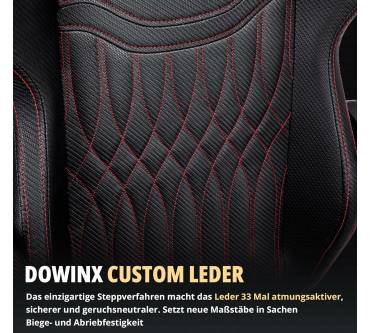 Produktbild Dowinx Gaming Stuhl (Kunstlederbezug)